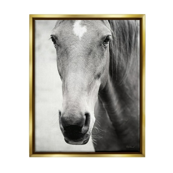 Stupell Industries Moke Lake Horse Photography Animals & Insects Photography Gold Floater Framed Art Print Wall Art, 17 x 21