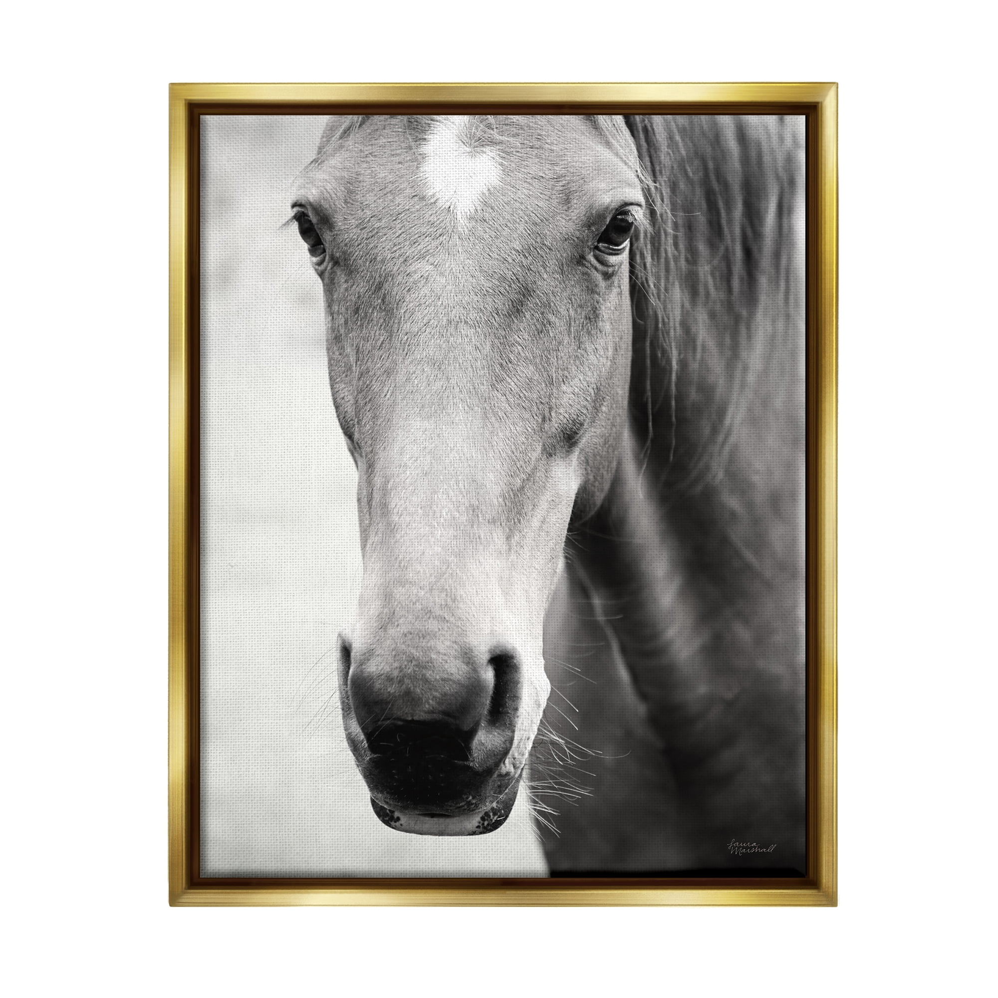 Stupell Industries Moke Lake Horse Photography Animals & Insects Photography Gold Floater Framed Art Print Wall Art, 25 x 31