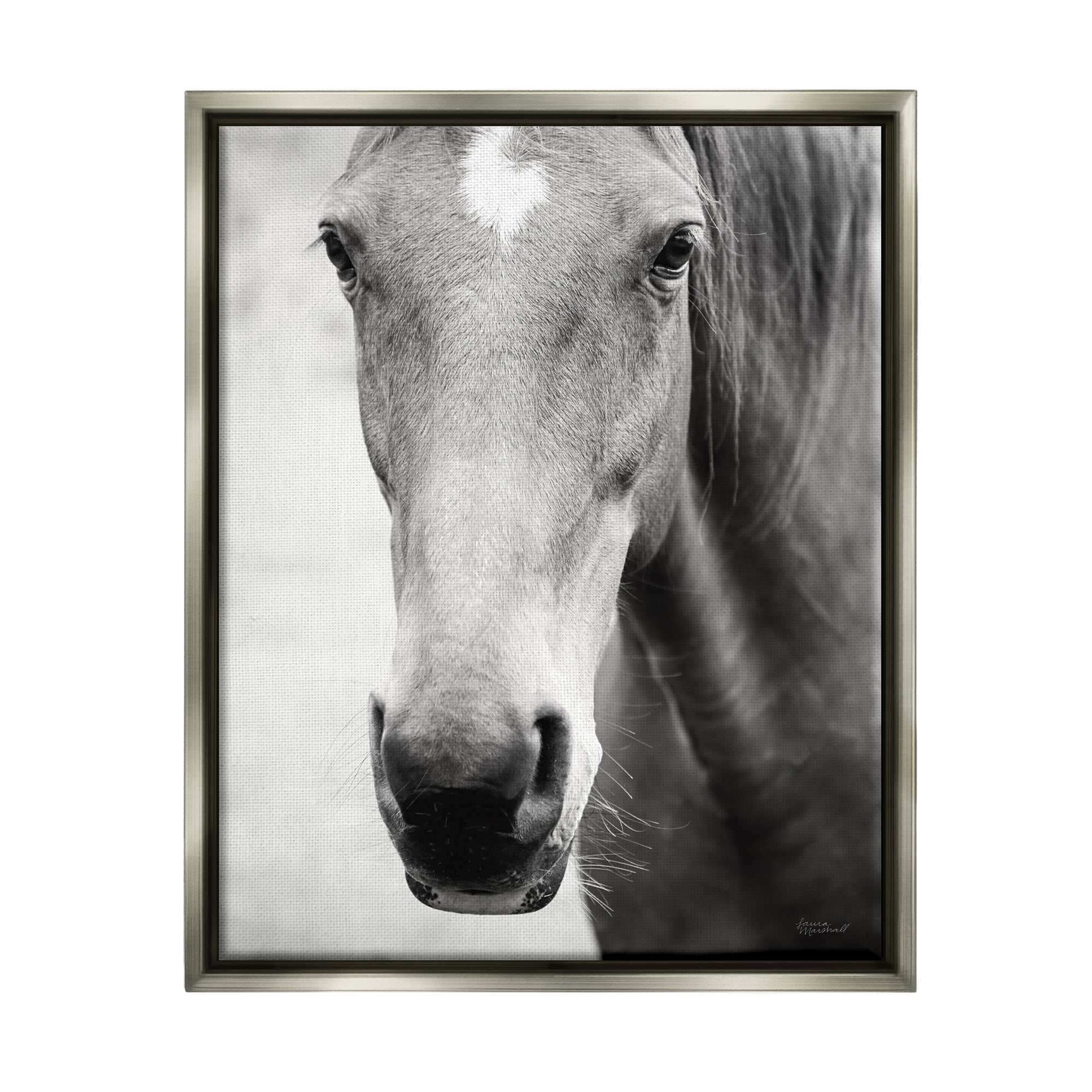 Stupell Industries Moke Lake Horse Photography Animals & Insects Photography Gray Floater Framed Art Print Wall Art, 17 x 21