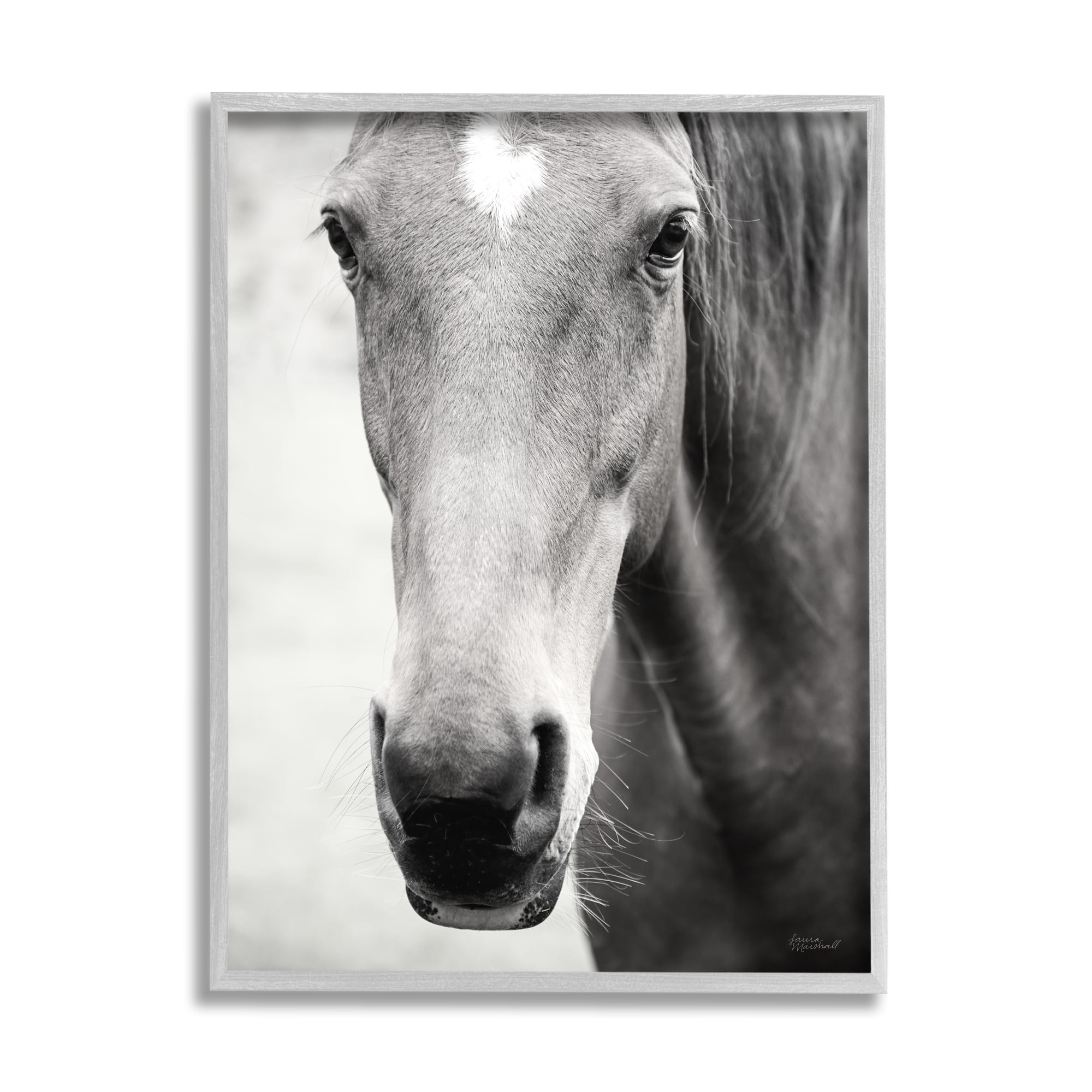 Stupell Industries Moke Lake Horse Photography Animals & Insects Photography Gray Framed Art Print Wall Art, 16 x 20