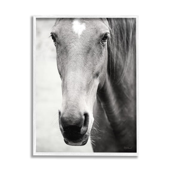 Stupell Industries Moke Lake Horse Photography Animals & Insects Photography White Framed Art Print Wall Art, 24 x 30