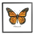 thumbnail image 1 of Stupell Industries Monarch Butterfly Casual Insect Wildlife Design Graphic Art Black Framed Art Print Wall Art, Design by Cindy Jacobs, 1 of 5