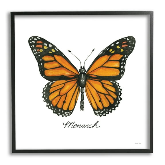 Stupell Industries Monarch Butterfly Casual Insect Wildlife Design Graphic Art Black Framed Art Print Wall Art, Design by Cindy Jacobs