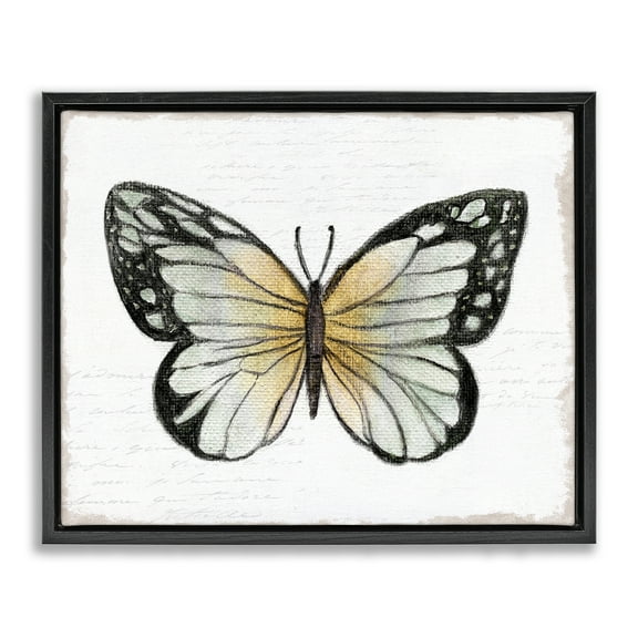 Stupell Industries Monarch Butterfly Visage Animals Painting Black Floater Framed Canvas Art Print Wall Art, 21 x 17