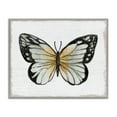 thumbnail image 1 of Stupell Industries Monarch Butterfly Visage Animals Painting Gray Framed Art Print Wall Art, 20 x 16, 1 of 2