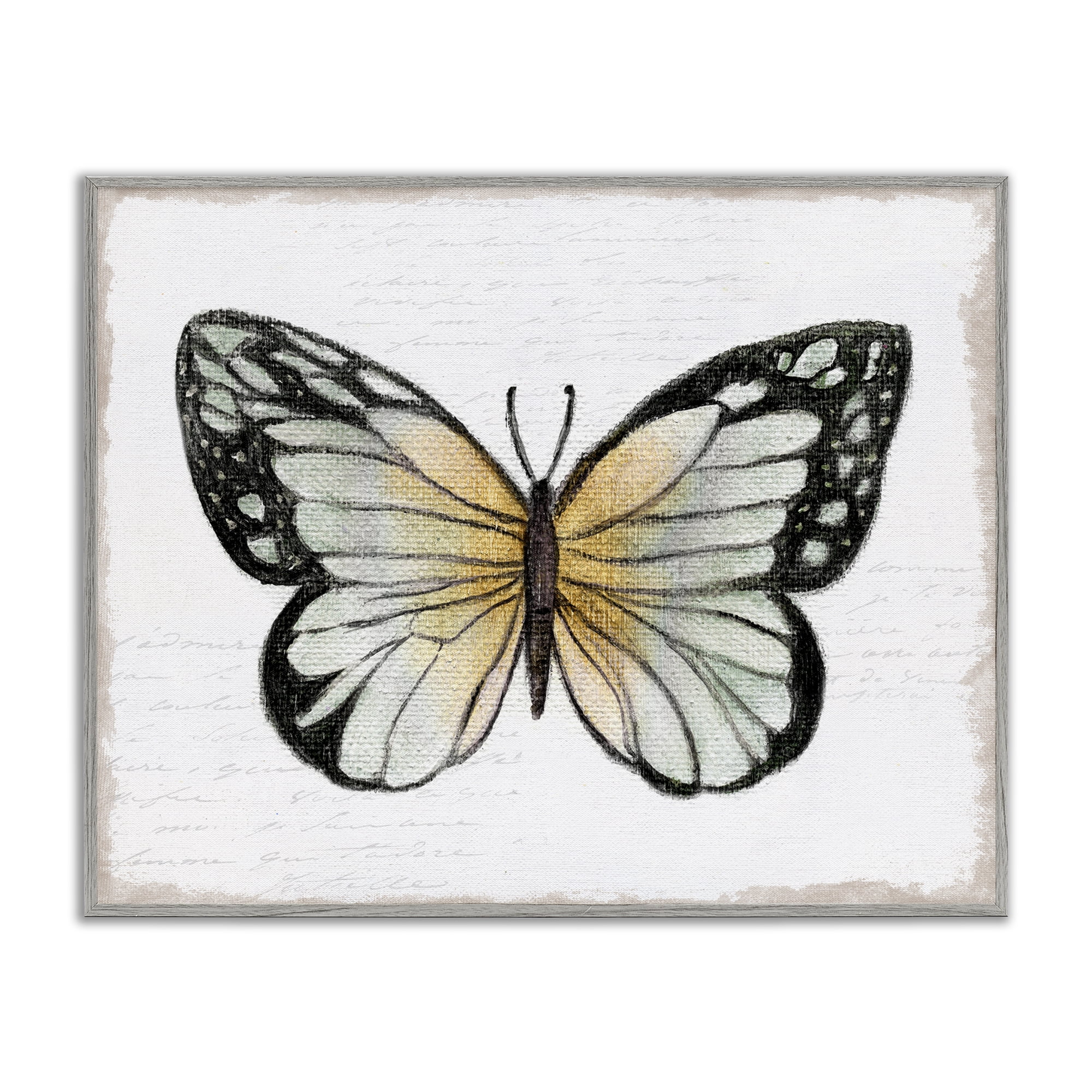 Stupell Industries Monarch Butterfly Visage Animals Painting Gray Framed Art Print Wall Art, 30 x 24
