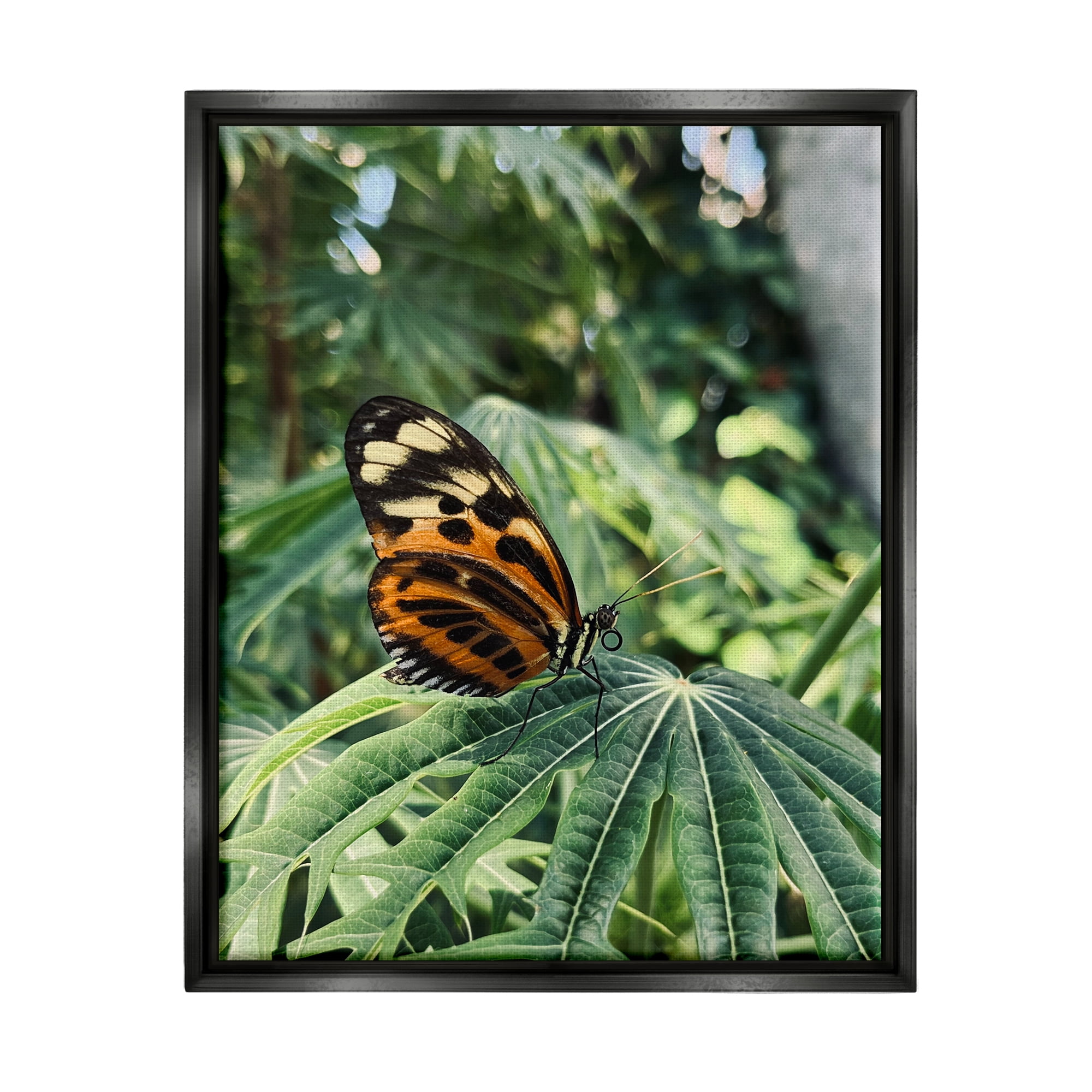Stupell Industries Monarch Butterfly on Leaf Animals & Insects Photography Black Floater Framed Art Print Wall Art, 25 x 31
