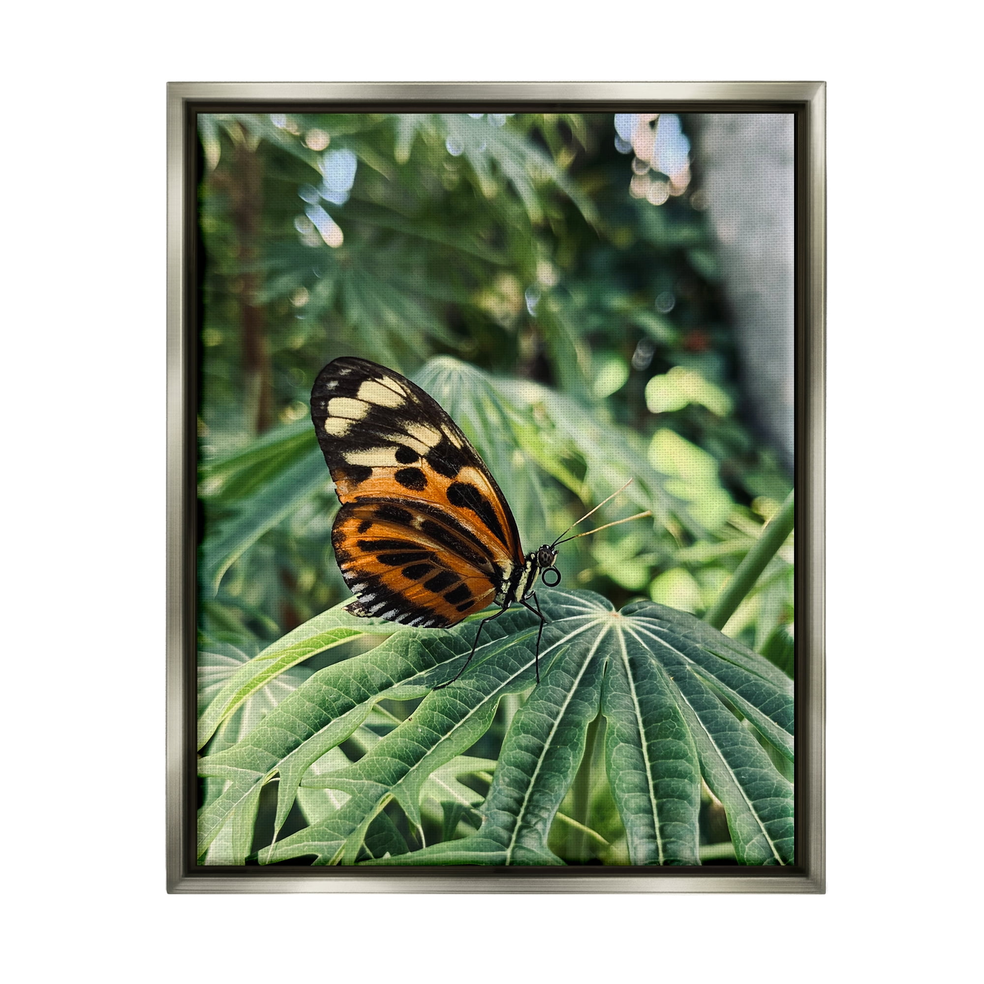 Stupell Industries Monarch Butterfly on Leaf Animals & Insects Photography Gray Floater Framed Art Print Wall Art, 17 x 21