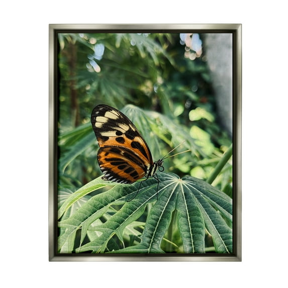 Stupell Industries Monarch Butterfly on Leaf Animals & Insects Photography Gray Floater Framed Art Print Wall Art, 25 x 31
