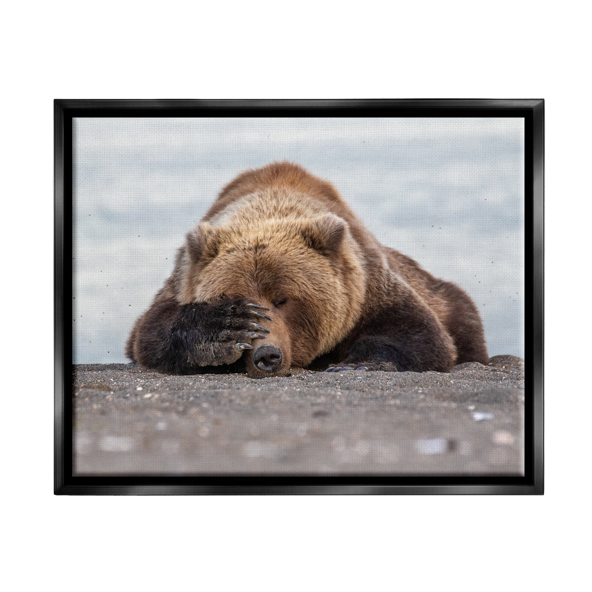 Stupell Industries Monday Blues Bear Animals & Insects Photography Black Floater Framed Canvas Art Print Wall Art, 31 x 25