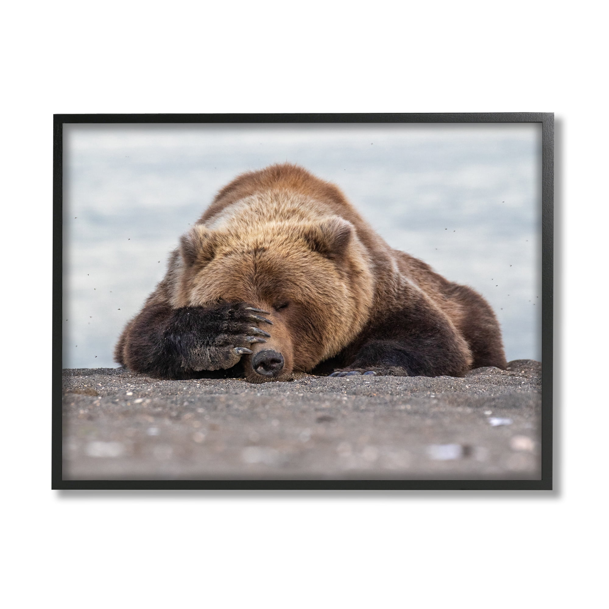 Stupell Industries Monday Blues Bear Animals & Insects Photography Black Framed Art Print Wall Art, 30 x 24