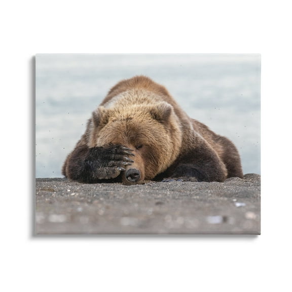 Stupell Industries Monday Blues Bear Animals & Insects Photography Gallery Wrapped Canvas Art Print Wall Art, 20 x 16