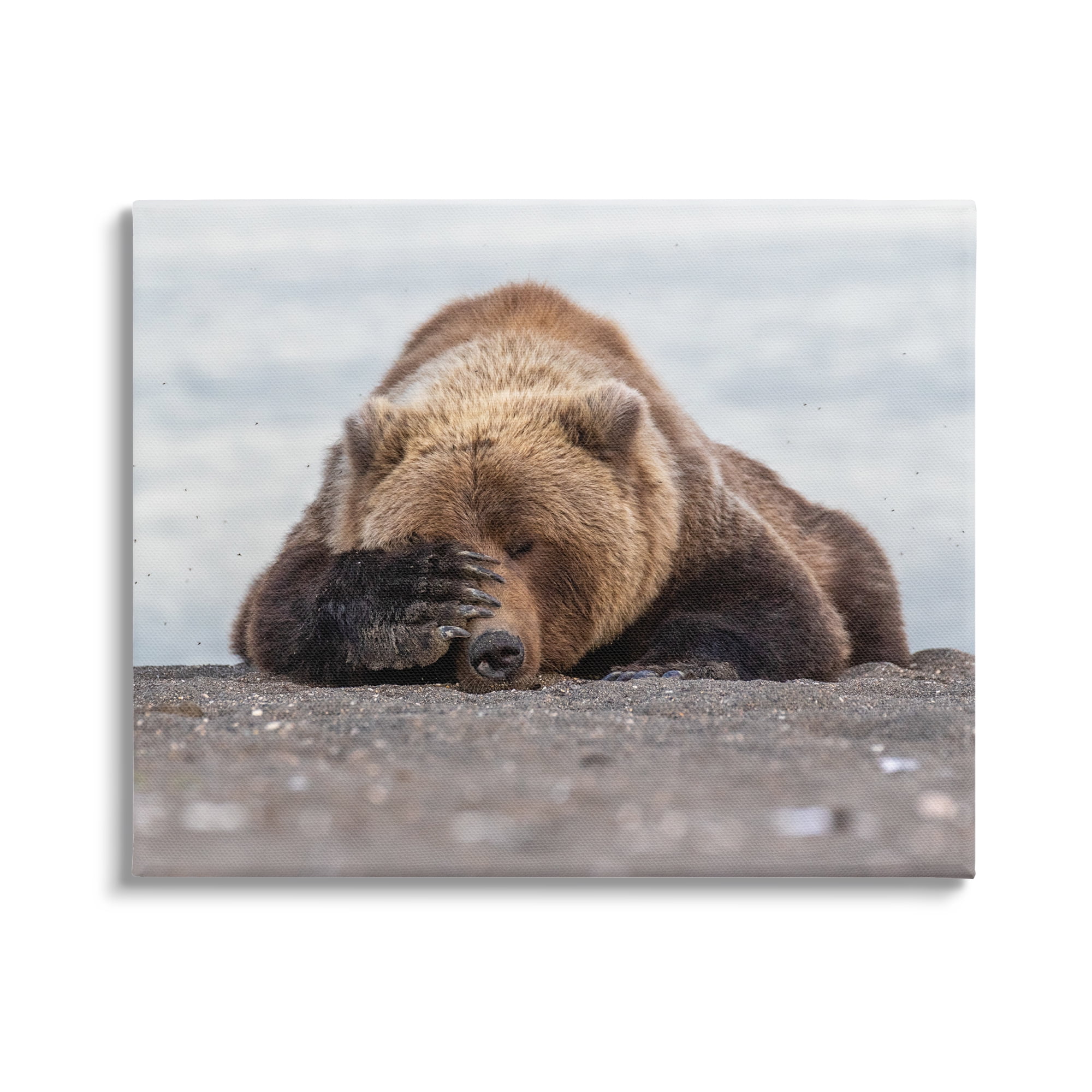 Stupell Industries Monday Blues Bear Animals & Insects Photography Gallery Wrapped Canvas Art Print Wall Art, 40 x 30