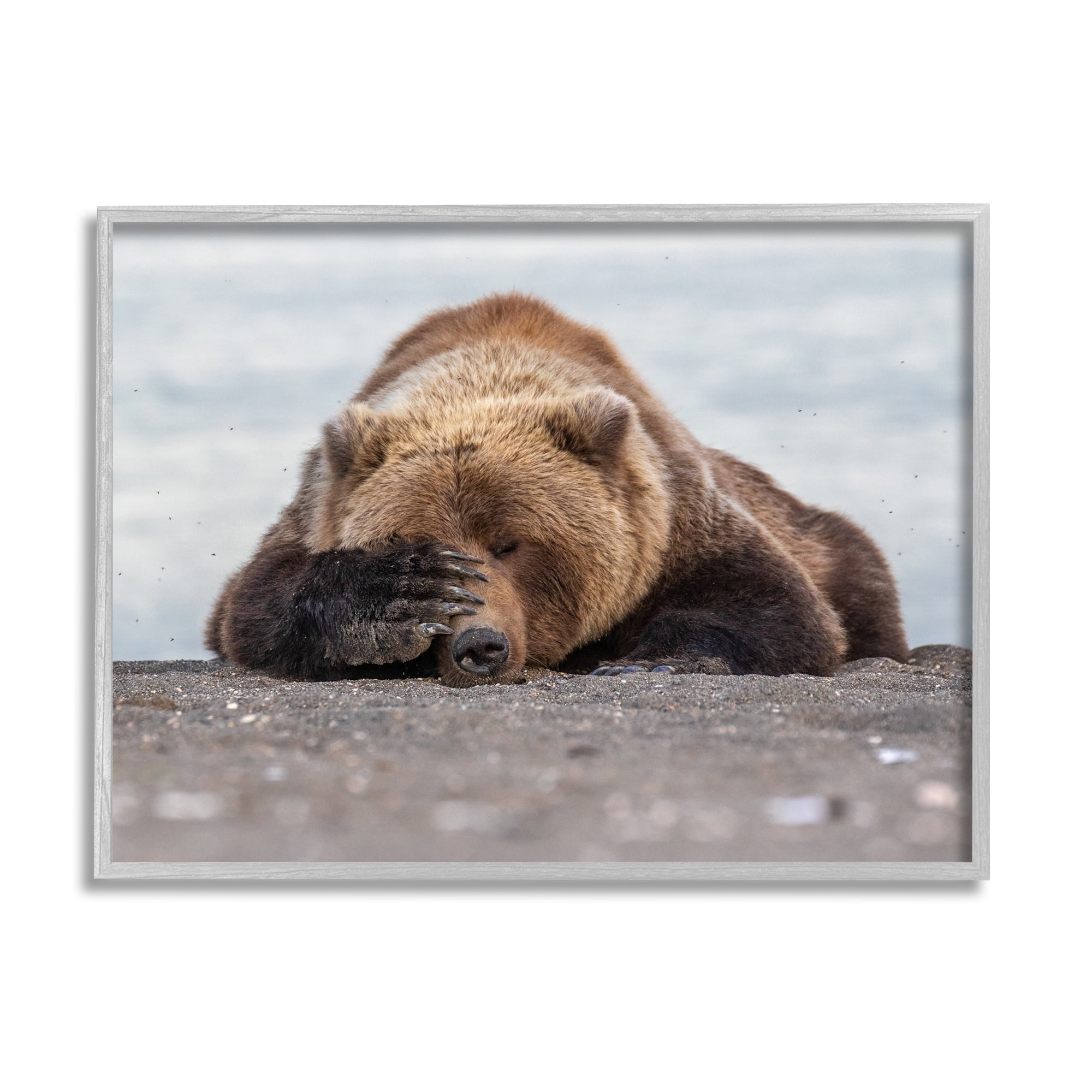 Stupell Industries Monday Blues Bear Animals & Insects Photography Gray Framed Art Print Wall Art, 14 x 11