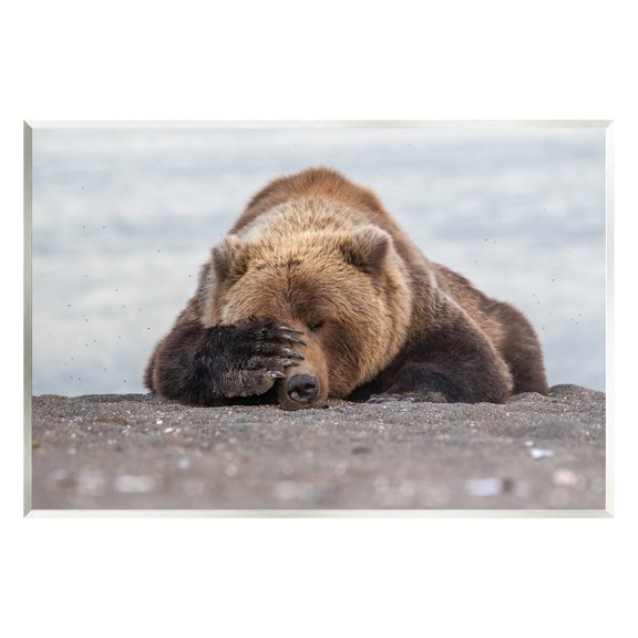 Stupell Industries Monday Blues Bear Animals & Insects Photography Unframed Art Print Wall Art, 15 x 10