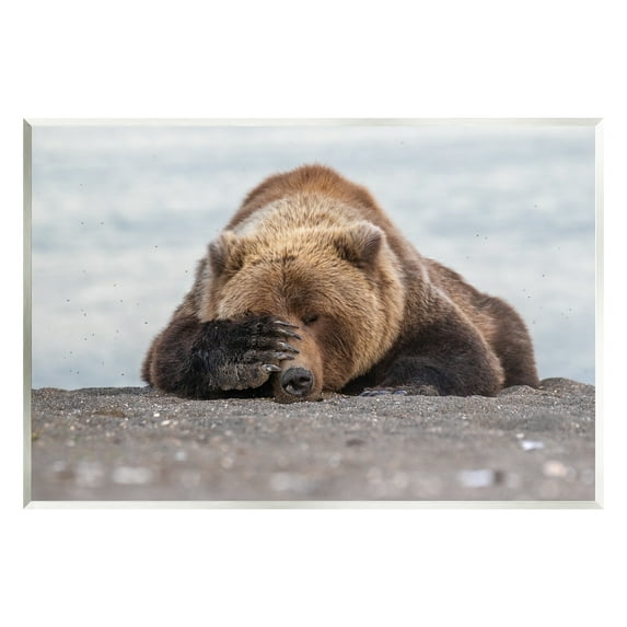Stupell Industries Monday Blues Bear Animals & Insects Photography Unframed Art Print Wall Art, 15 x 10