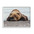 thumbnail image 1 of Stupell Industries Monday Blues Bear Animals & Insects Photography White Framed Art Print Wall Art, 20 x 16, 1 of 9