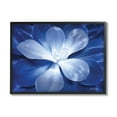 thumbnail image 1 of Stupell Industries Monochromatic Blue Succulent Plant Detailed Botanical Petals,14 x 11, Design by Lori Deiter, 1 of 5