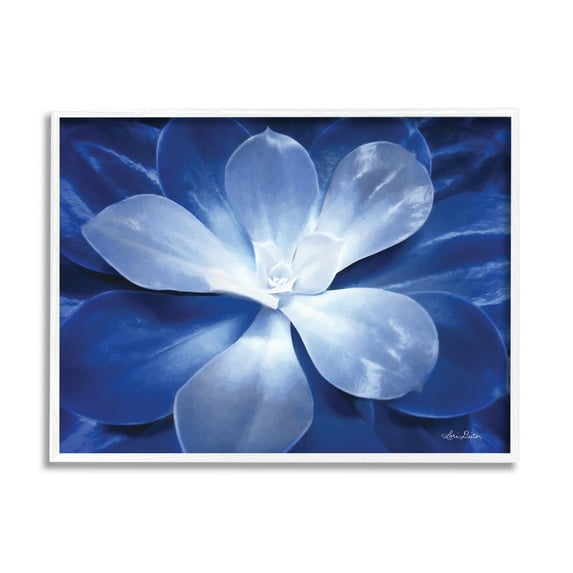 Stupell Industries Monochromatic Blue Succulent Plant Detailed Botanical Petals,14 x 11, Design by Lori Deiter