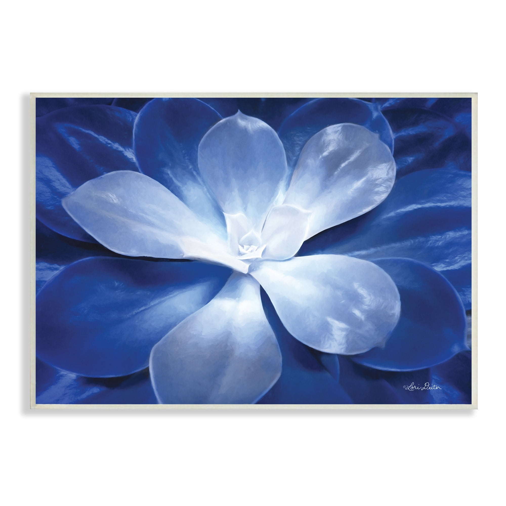 Stupell Industries Monochromatic Blue Succulent Plant Detailed Botanical Petals,15 x 10, Design by Lori Deiter