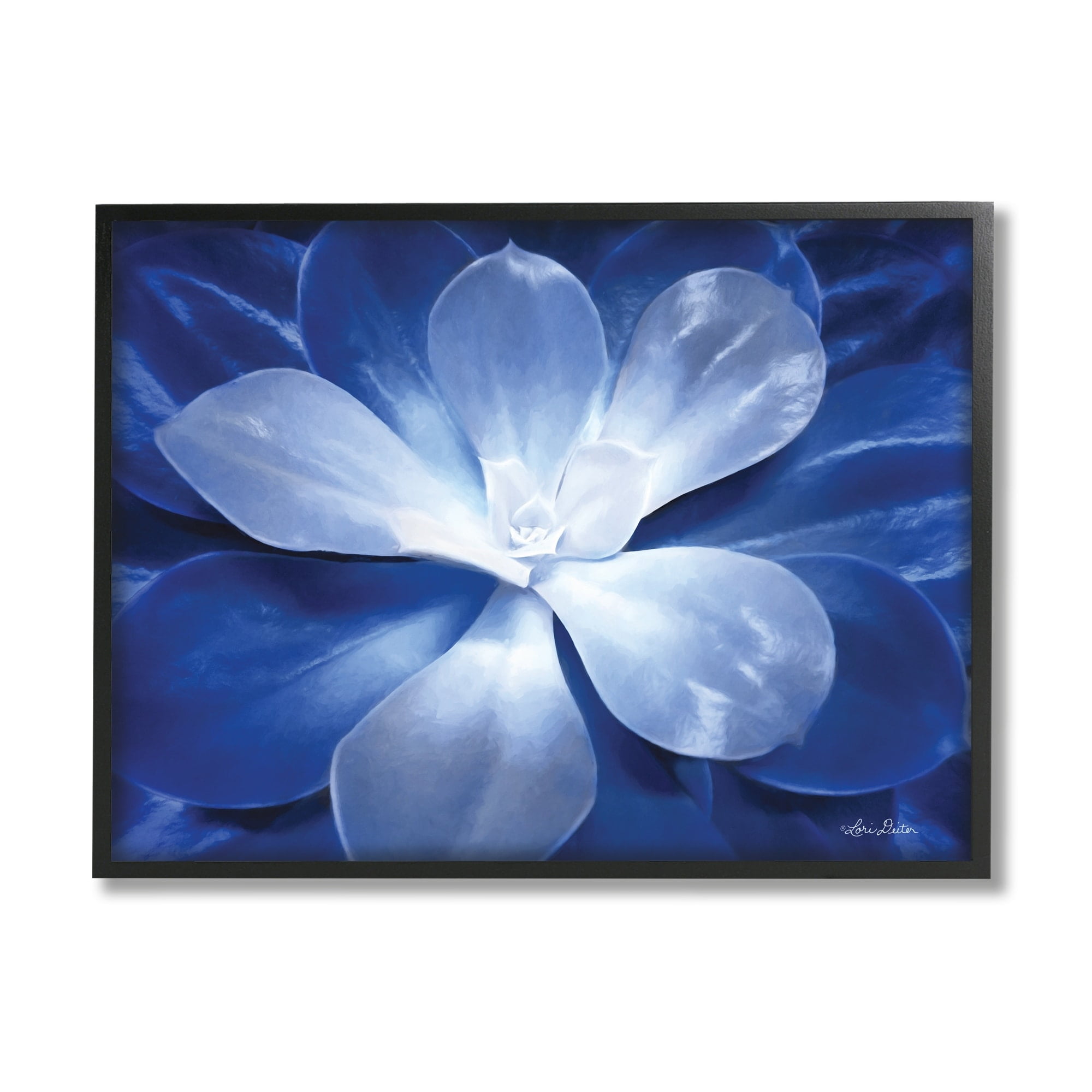 Stupell Industries Monochromatic Blue Succulent Plant Detailed Botanical Petals,30 x 24, Design by Lori Deiter