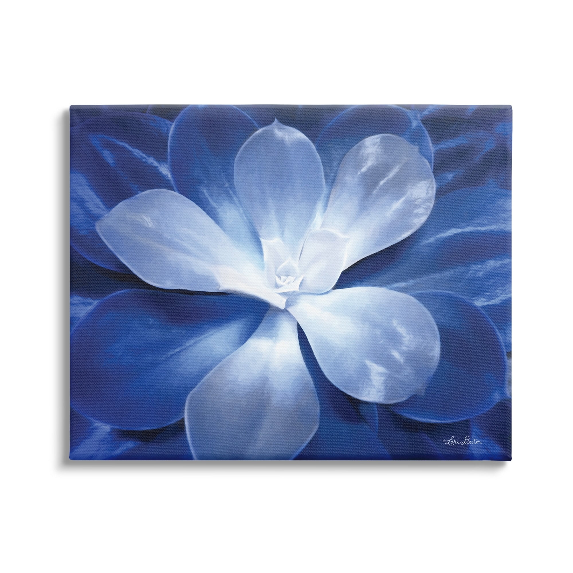 Stupell Industries Monochromatic Blue Succulent Plant Detailed Botanical Petals,30 x 24, Design by Lori Deiter