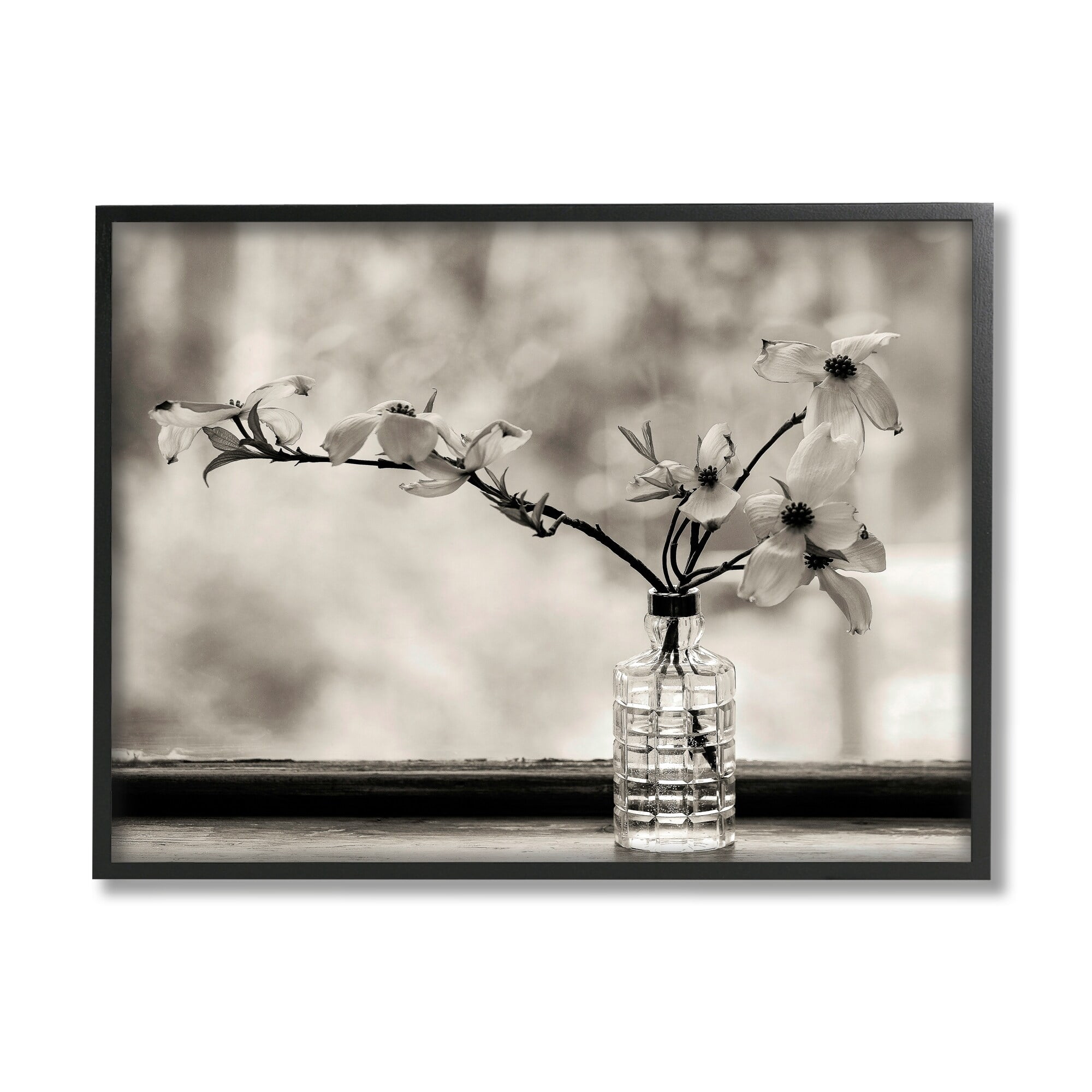 Stupell Industries Monochrome Botanical Orchid Flower Windowsill Photography , 20 x 16, Design by Kelly Sinclair