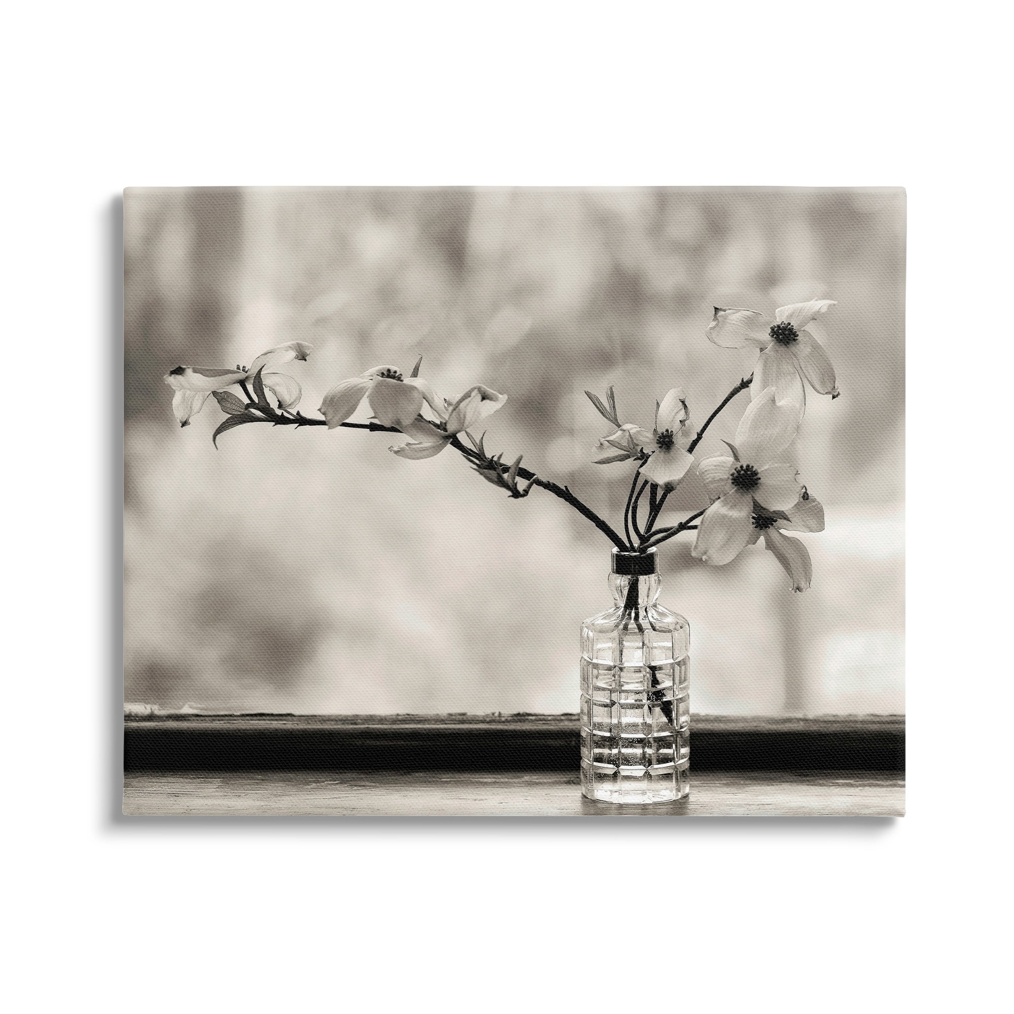 Stupell Industries Monochrome Botanical Orchid Flower Windowsill Photography , 30 x 24, Design by Kelly Sinclair