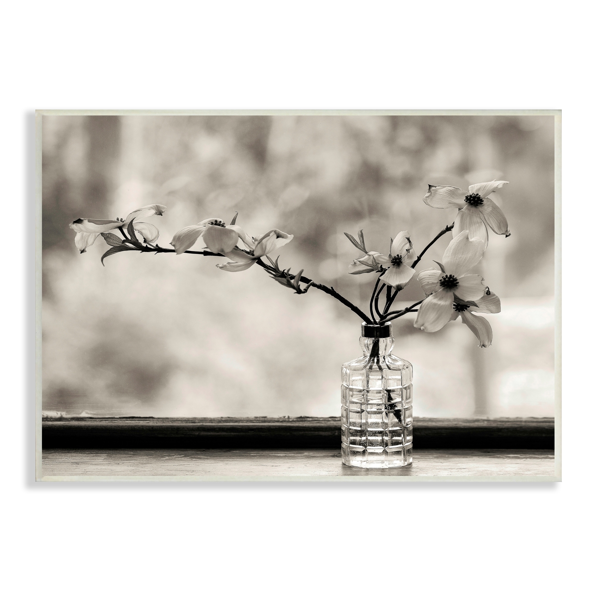 Stupell Industries Monochrome Botanical Orchid Flower Windowsill Photography Unframed Art Print Wall Art, 15x10, by Kelly Sinclair