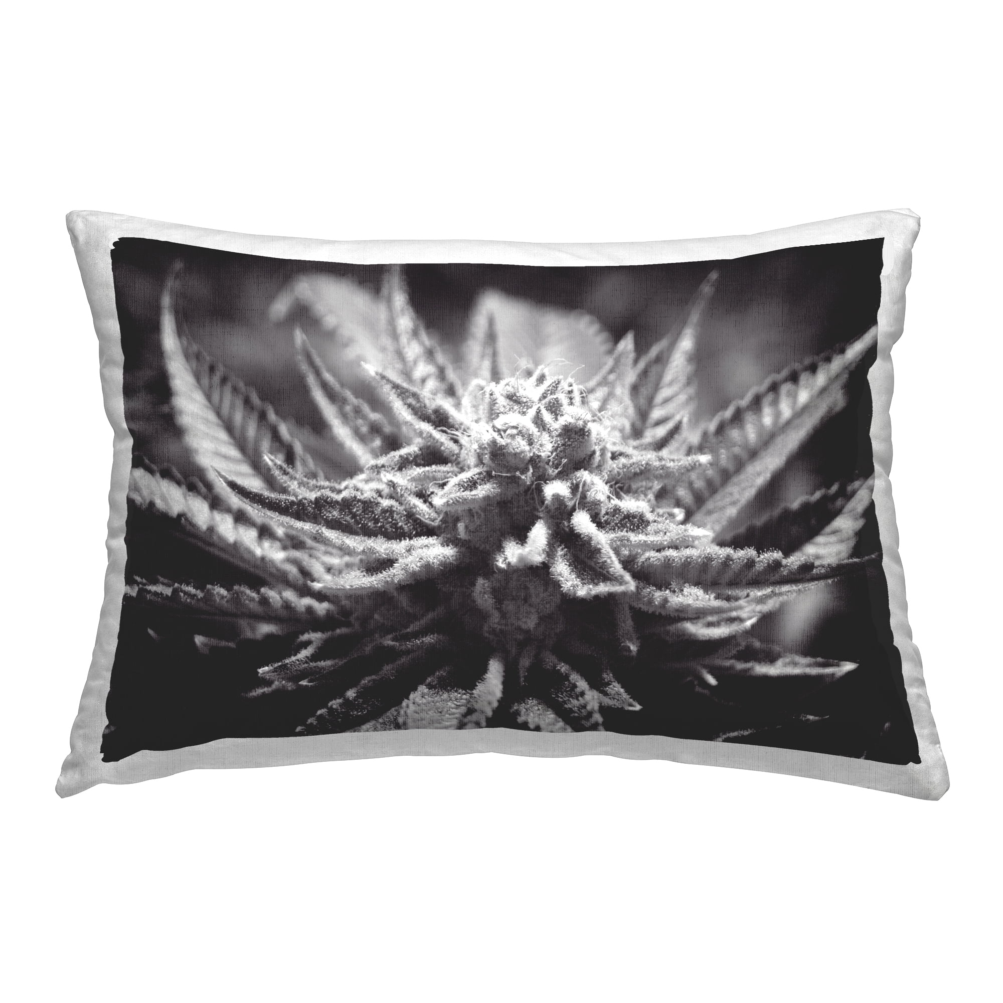 Stupell Industries Monochrome Cannabis Flower Decorative Printed Throw Pillow Design by LIH.
