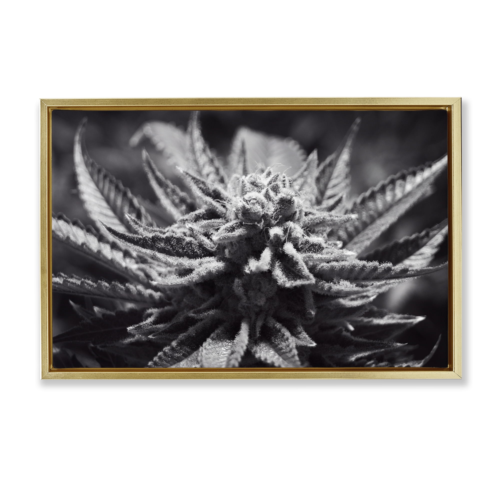 Stupell Industries Monochrome Cannabis Flower Plants & Flowers Painting Gold Floater Framed Canvas Art Print Wall Art, 25 x 17