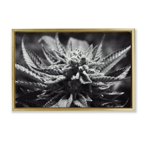 Stupell Industries Monochrome Cannabis Flower Plants & Flowers Painting Gold Floater Framed Canvas Art Print Wall Art, 25 x 17