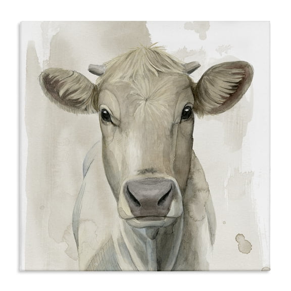 Stupell Industries Monochrome Cattle Face Portrait Animals Painting Wrapped Canvas Canvas Art Print Wall Art, 17 x 17