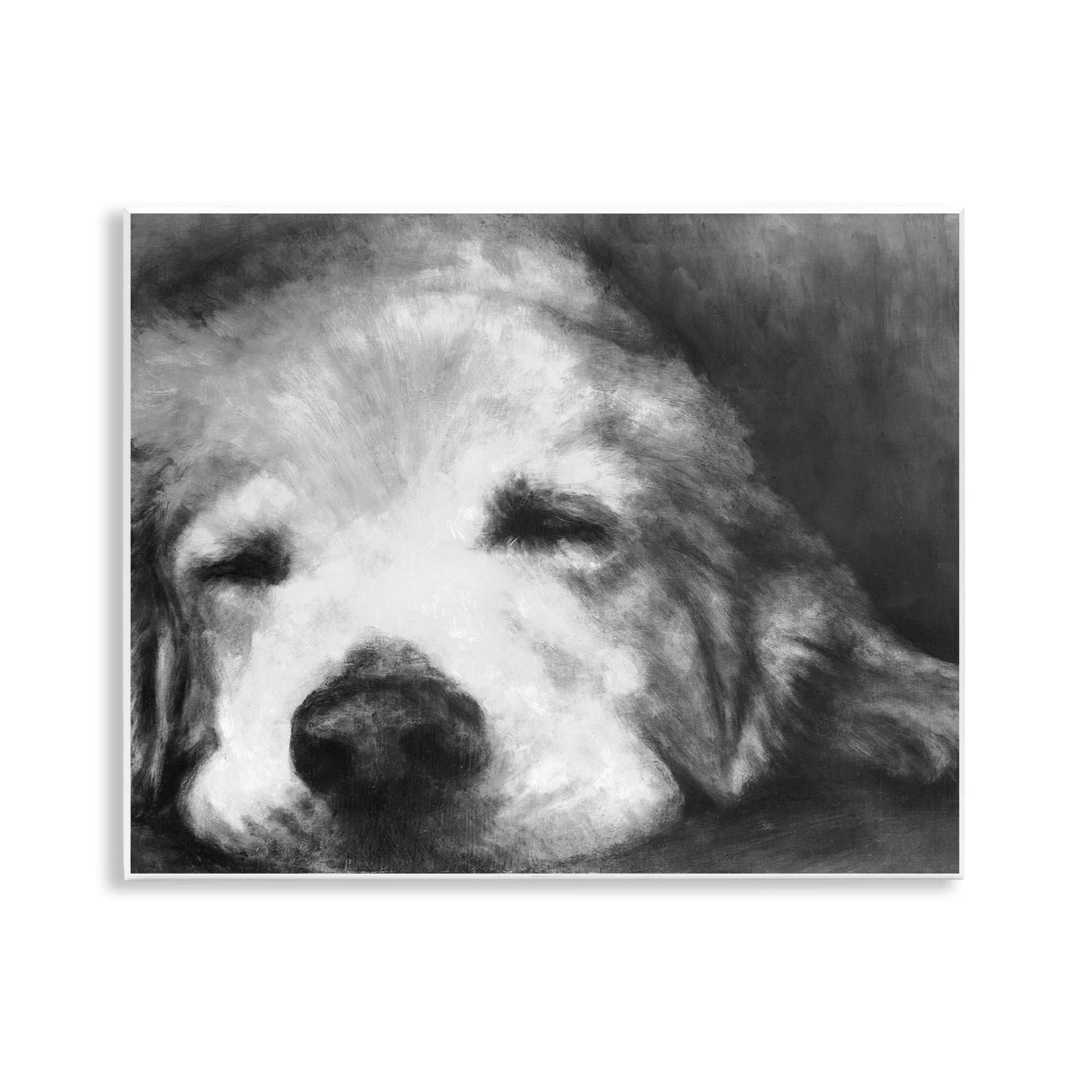 Stupell Industries Monochrome Dog Day Afternoon Wall Plaque Art, design by Walt Johnson