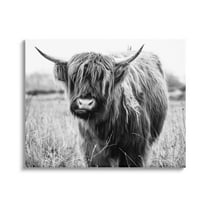 Stupell Industries Monochrome Farmland Longhorn Cattle Cow Photography Canvas Wall Art, 30 x 24, Design by Amy Brinkman