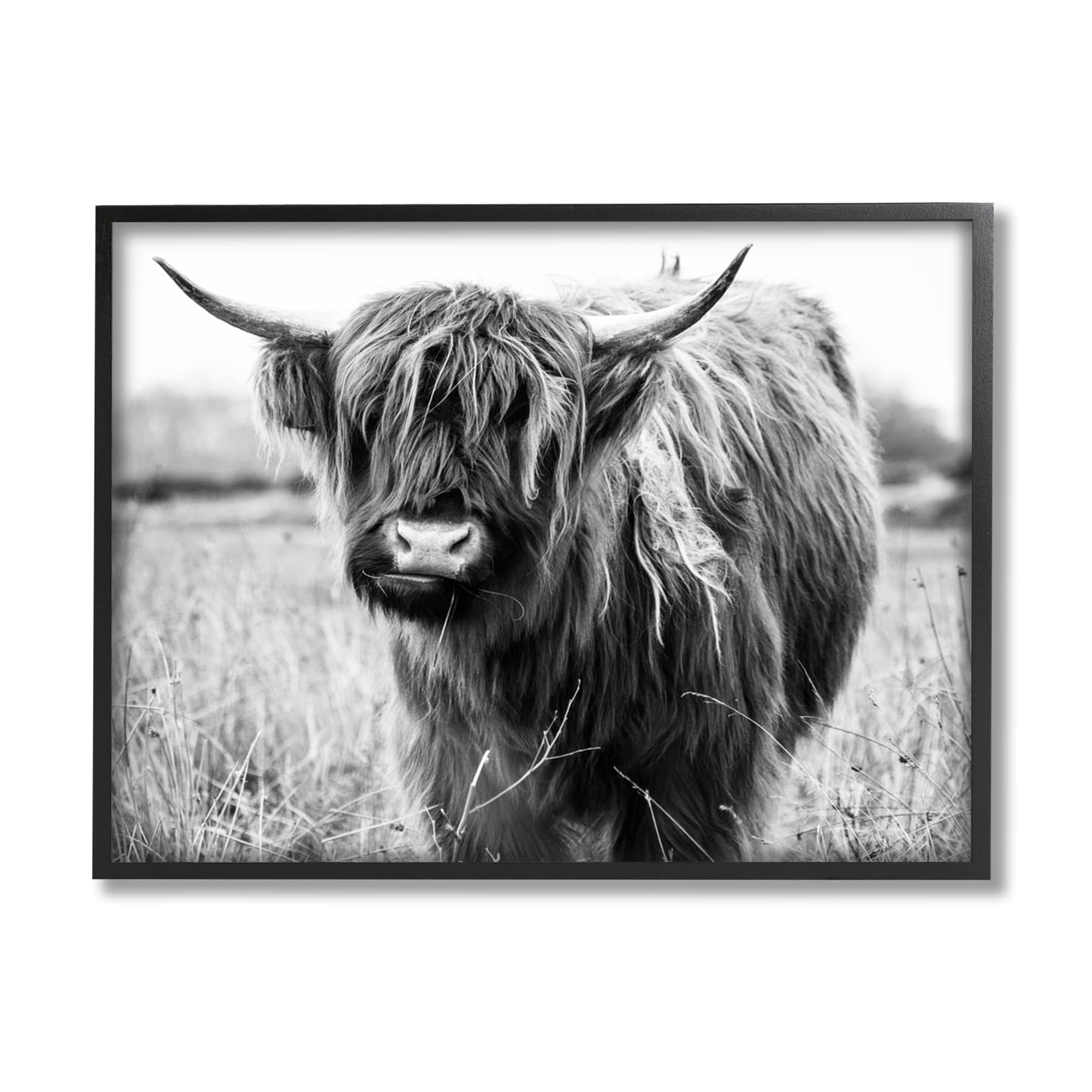 Stupell Industries Monochrome Farmland Longhorn Cattle Cow Photography Framed Wall Art, 14 x 11, Design by Amy Brinkman