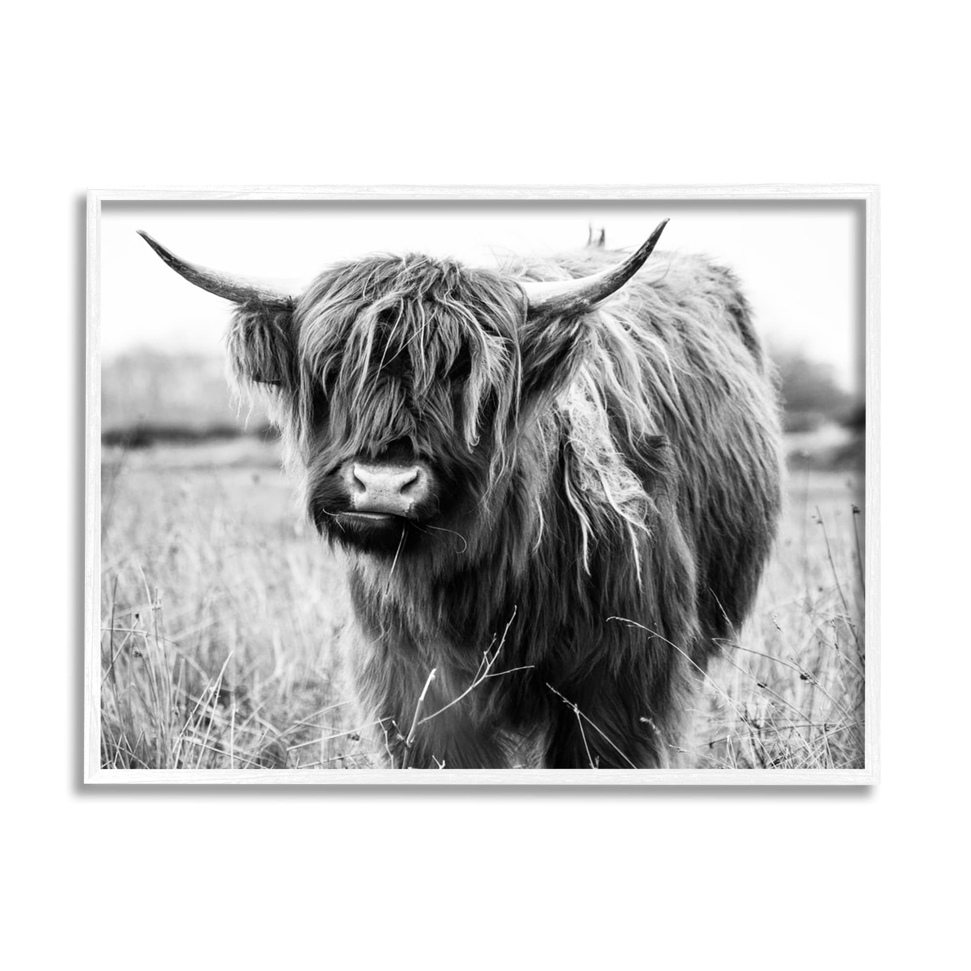 Stupell Industries Monochrome Farmland Longhorn Cattle Cow Photography Framed Wall Art, 20 x 16, Design by Amy Brinkman