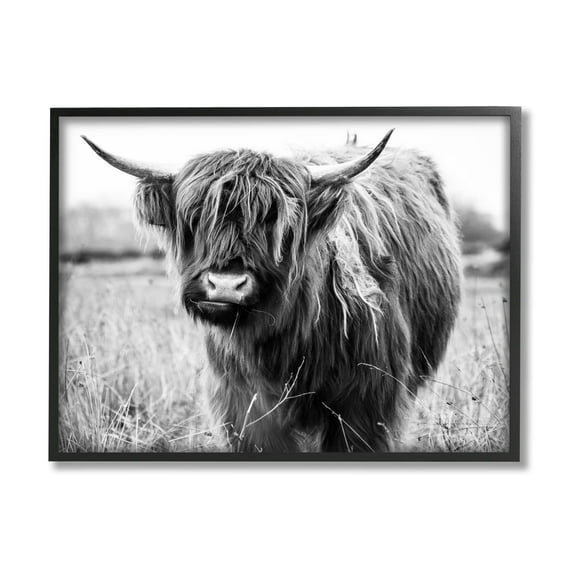 Stupell Industries Monochrome Farmland Longhorn Cattle Cow Photography Framed Wall Art, 30 x 24, Design by Amy Brinkman