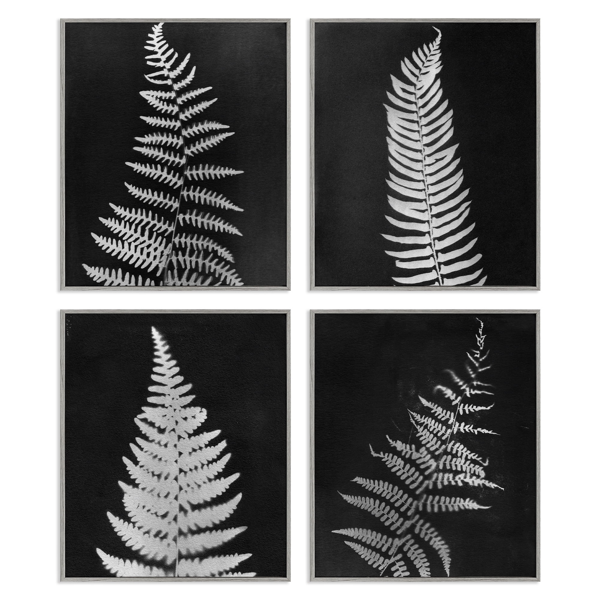 Stupell Industries Monochrome Fern Impressions Plants & Flowers Painting Gray Framed Art Print Wall Art, 11 x 14, Set of 4