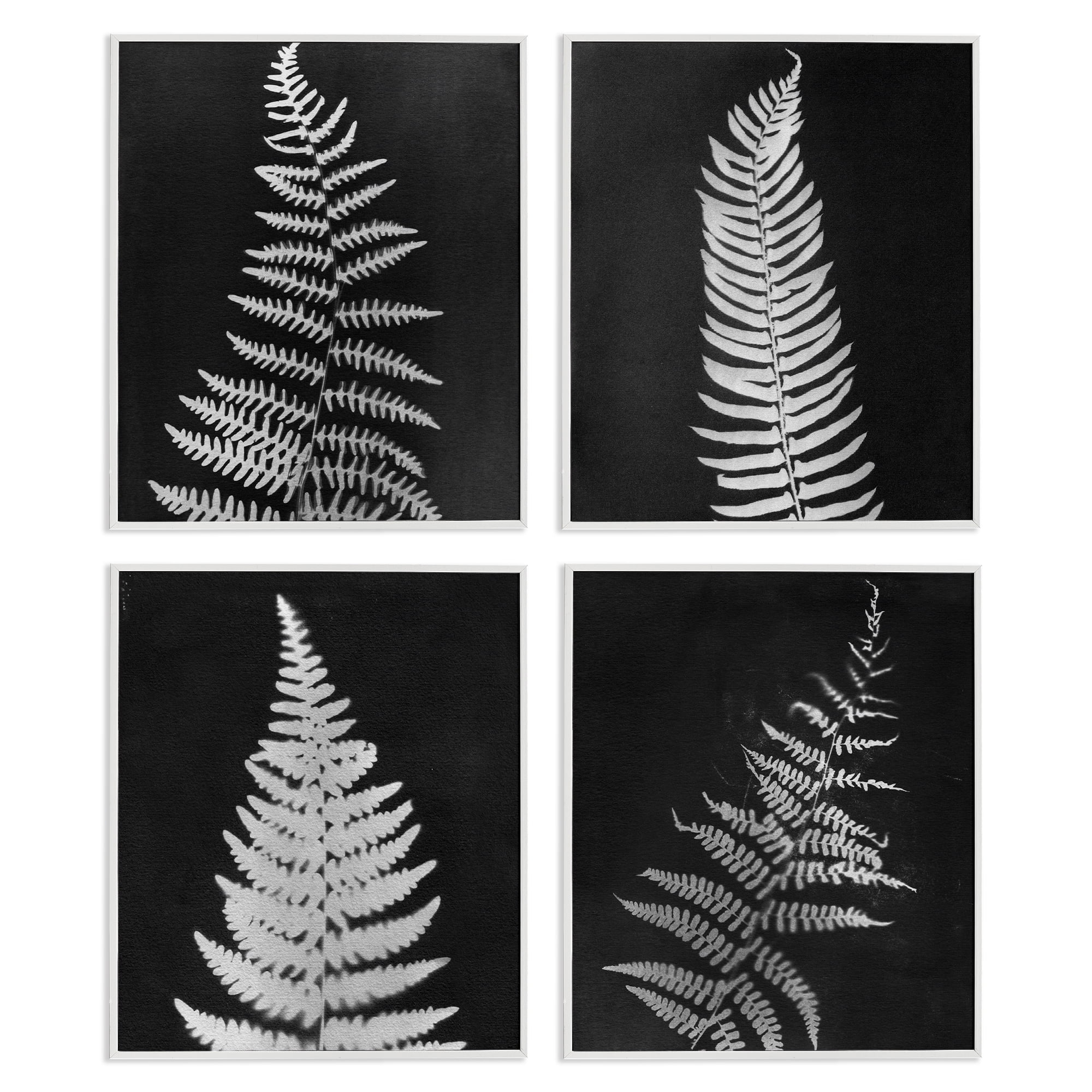 Stupell Industries Monochrome Fern Impressions Plants & Flowers Painting White Framed Art Print Wall Art, 16 x 20, Set of 4