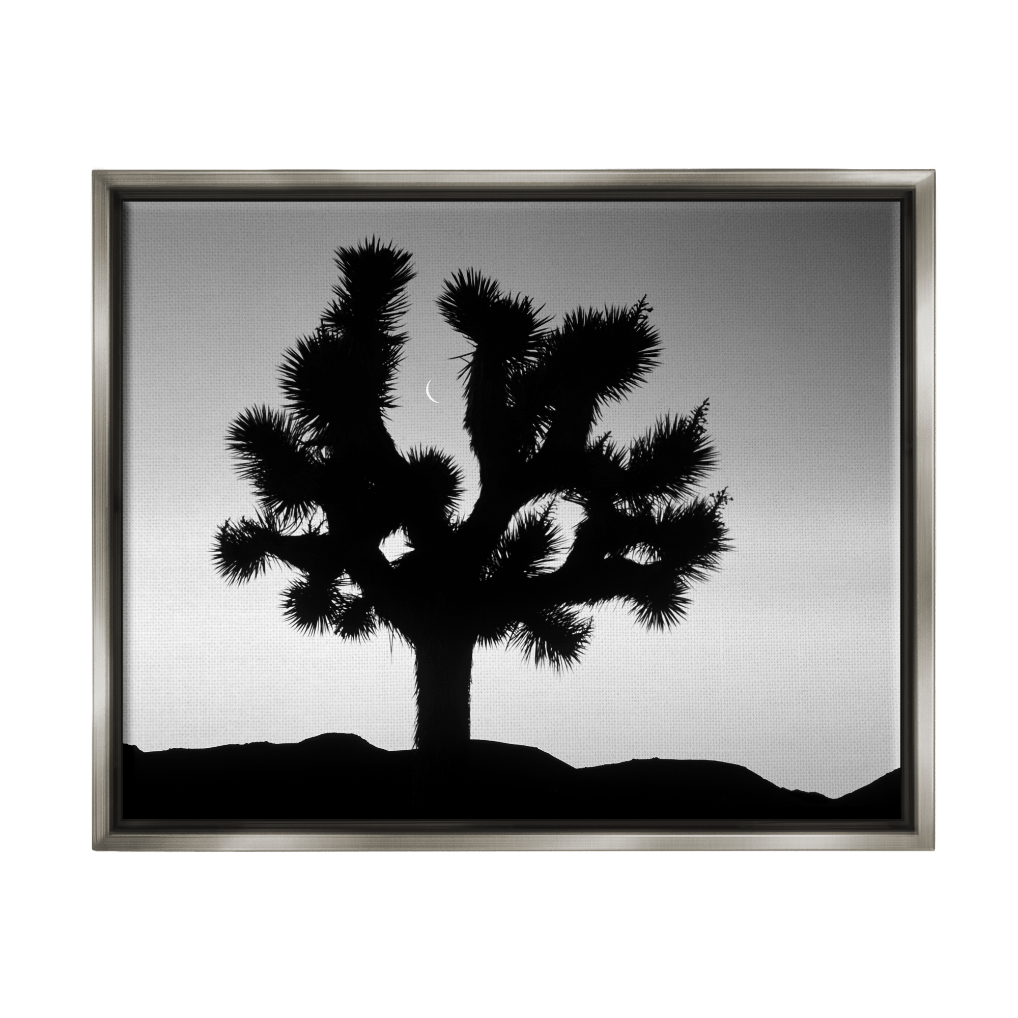 Stupell Industries Monochrome Moonlit Desert Tree Landscape Photography Gray Floater Framed Art Print Wall Art