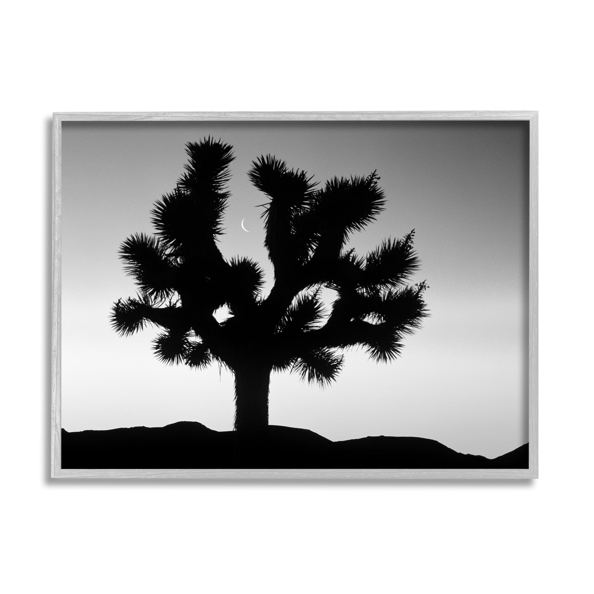 Stupell Industries Monochrome Moonlit Desert Tree Landscape Photography Gray Framed Art Print Wall Art
