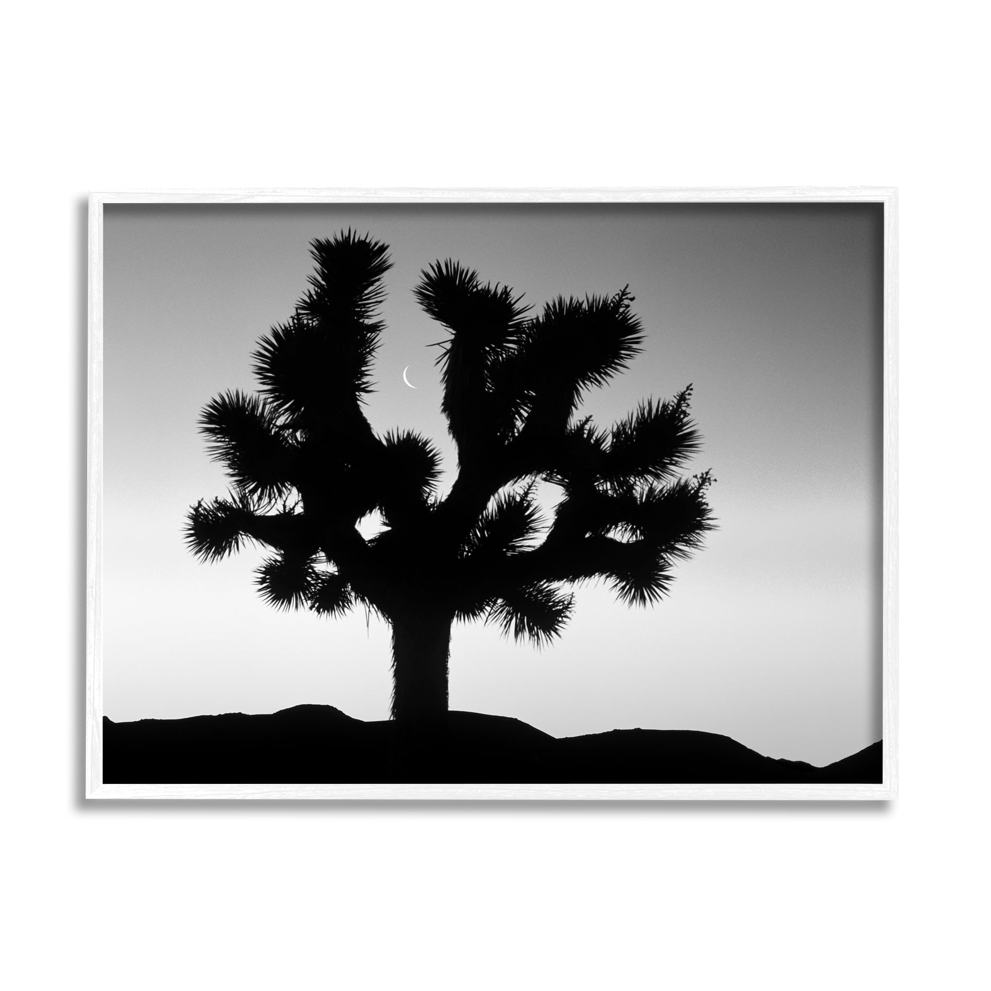 Stupell Industries Monochrome Moonlit Desert Tree Landscape Photography White Framed Art Print Wall Art