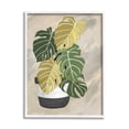 thumbnail image 1 of Stupell Industries Monstera Plant Black Stripe Planter Abstract Neutral Background, 16 x 20, Design by Patricia Pinto, 1 of 7