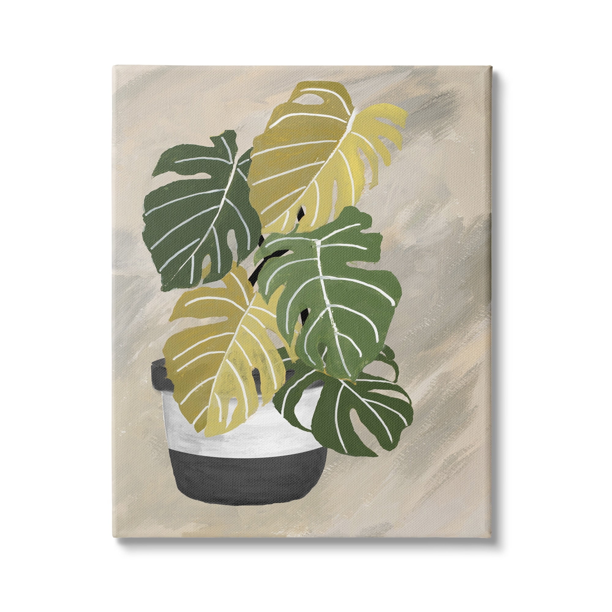 Stupell Industries Monstera Plant Black Stripe Planter Abstract Neutral Background, 36 x 48, Design by Patricia Pinto