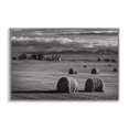 thumbnail image 1 of Stupell Industries Montana Hay Bales Landscape & Nature Photography Gray Framed Art Print Wall Art, 24 x 16, 1 of 2