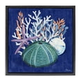 thumbnail image 1 of Stupell Industries Coastal Monterey Urchin & Coral Black Floating Frame Canvas Art, 18 x 18, by Paul Brent, 1 of 8