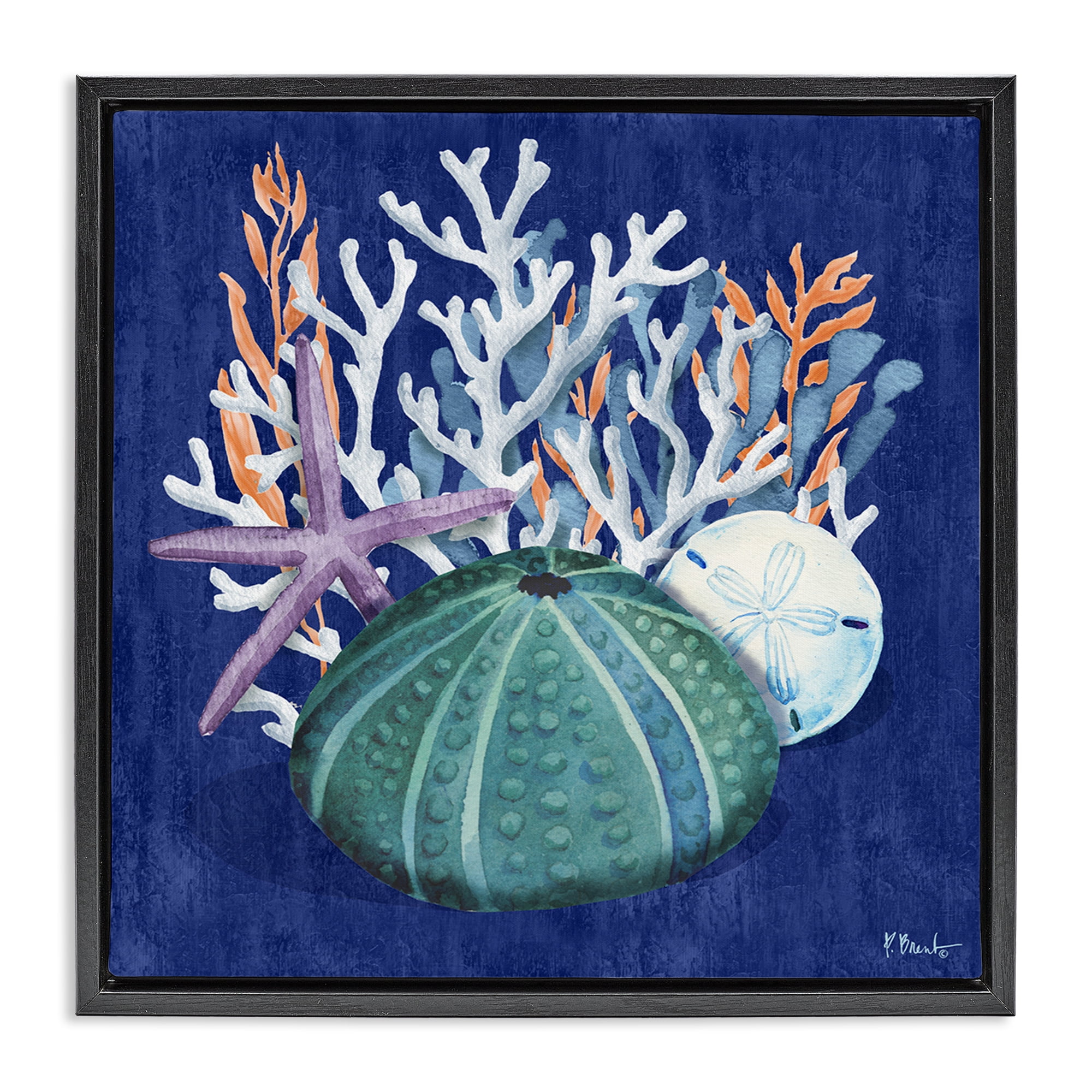 Stupell Industries Monterey Urchin & Coral Coastal Painting Black Floater Framed Canvas Art Print Wall Art, 25 x 25