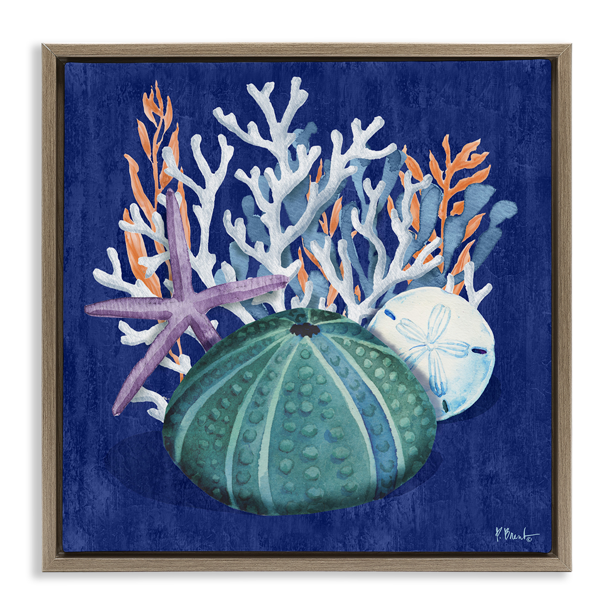 Stupell Industries Monterey Urchin & Coral Coastal Painting Brown Floater Framed Canvas Art Print Wall Art, 18 x 18