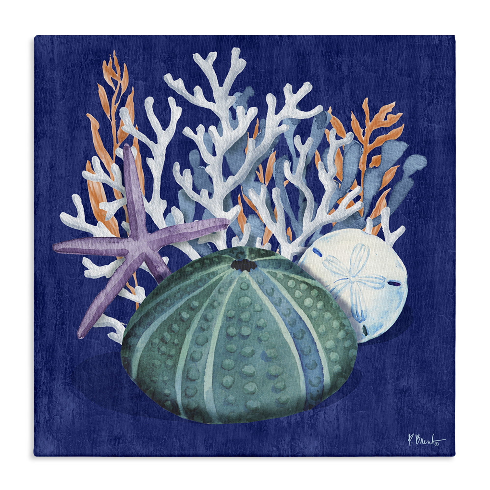 Stupell Industries Monterey Urchin & Coral Coastal Painting Gallery Wrapped Canvas Art Print Wall Art, 30 x 30